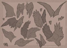 several different types of birds flying in the air with hearts on their tails and wings