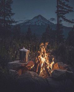 a campfire in the middle of a forest with mountains in the background at night