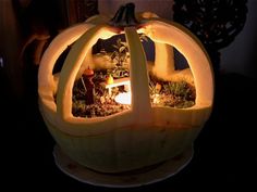 a pumpkin shaped planter filled with plants