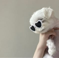 a person holding a white teddy bear with heart shaped glasses on it's eyes