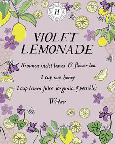 a book cover with lemons and flowers on the front, surrounded by words that read violett lemonade