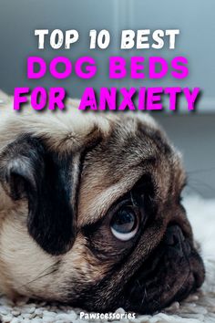 Looking to help relieve your pup from their anxiety in whatever way you can? Check out these top tier dog beds to help with anxiety. Indestructable Dog Bed, Dog Lounge, Waterproof Dog Bed, Elevated Dog Bed, Best Dog Beds, Washable Dog Bed, Bolster Dog Bed