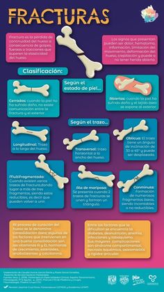 a poster with different types of bones and bones on it's side, in spanish