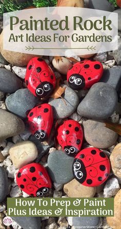 rocks with ladybugs painted on them and the words painted rock art ideas for gardens