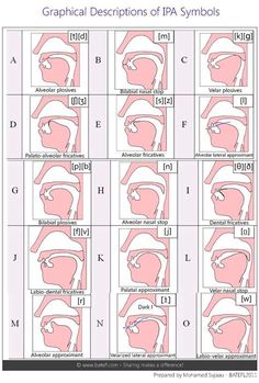 the diagram shows different types of facial expressions and their corresponding parts, including the upper half of