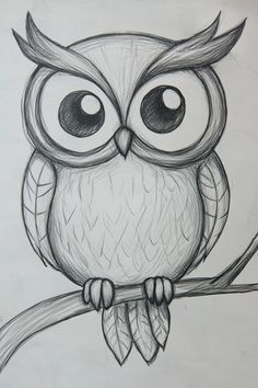 an owl with big eyes sitting on a tree branch, drawn in graph pencils