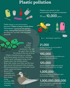 an info sheet describing plastic pollution