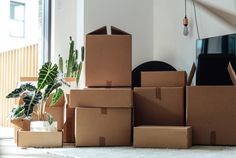 several cardboard boxes stacked on top of each other in front of a tv and potted plant