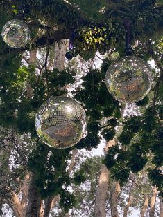 several disco balls hanging from the branches of trees