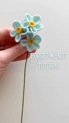 a hand holding a tiny flower with the words forget - me - not on it