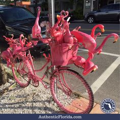 a pink bike with flamingos attached to it parked in front of a parking meter