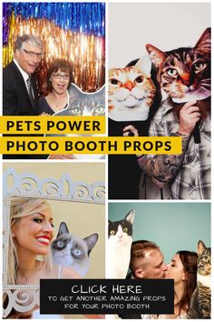 a collage of photos with cats and people in the background text reads pets power photo booth props click here to get another amazing pic