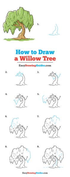 how to draw a cartoon tree