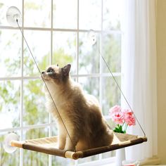 a cat sitting on top of a wooden swing in front of a window next to flowers