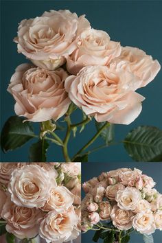 three different images of pink roses in a vase