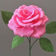 a pink rose with green leaves in a vase