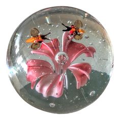 two bees sitting on top of a pink flower in a clear bubble with water droplets