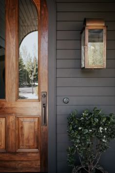 a potted plant sitting in front of a wooden door