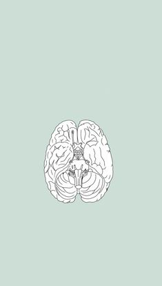 a black and white drawing of a human brain on a green background, with the left side of the brain visible