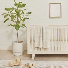 a white crib with a potted plant and wooden toy cars on the floor