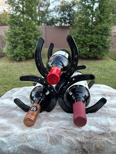 two wine bottles sitting on top of a metal rack in the middle of a yard