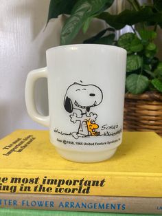 a white coffee mug sitting on top of a stack of books next to a potted plant