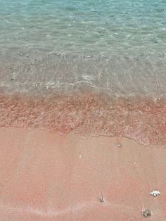 the beach is clean and clear for us to see