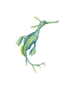 a watercolor drawing of a seahorse on a white background with blue and green colors