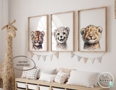 three animal pictures are hanging on the wall above a bench in a child's room