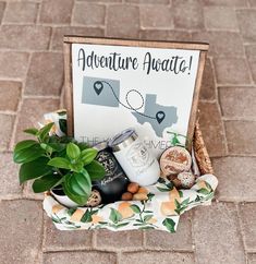 a sign that says adventure await next to a potted plant and some rocks on the ground