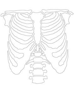 the skeleton and ribs are shown in this coloring page, which shows how to draw it