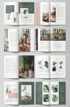 an open book with green plants and potted plants on the pages is shown in this image