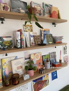 two wooden shelves with books and plants on them