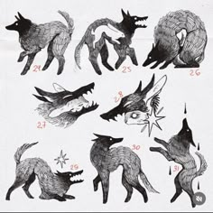 some drawings of different types of animals