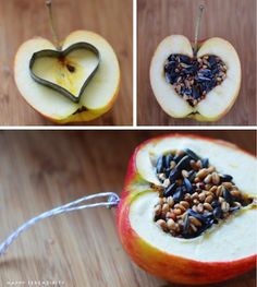 apples with seeds in the shape of hearts