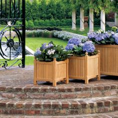 three wooden planters with blue flowers in them sitting on the steps to a garden