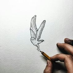 a person drawing a bird with a pencil