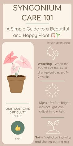 an info sheet describing how to care for plants