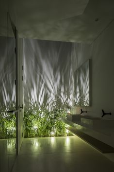 the interior of a modern house is lit up with light and shadows from plants on the wall