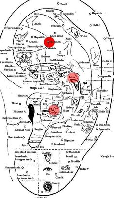 Accupuncture Points, Auricular Acupuncture