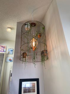 a birdcage hanging from the ceiling with plants growing out of it