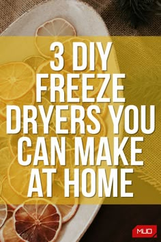 the words, 3 diy freeze dryers you can make at home are displayed on a plate