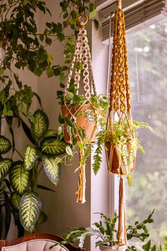 some plants hanging from a window sill in front of a potted plant and chair