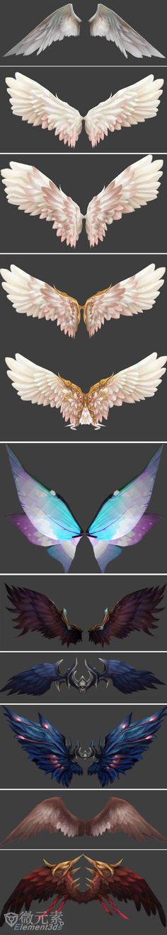 an image of different types of wings