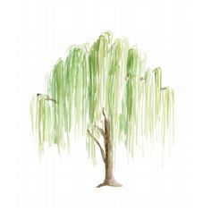 a drawing of a tree with green leaves