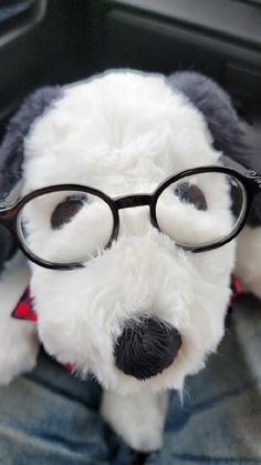 a stuffed dog with glasses on it's face