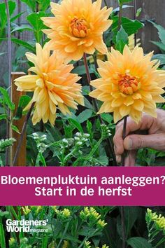 a person is holding some flowers in their hand with the words bloemenpluktun anlagegen start in de hererstt