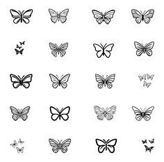 the different butterflies are drawn in black and white