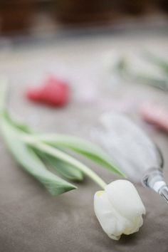 a white flower sitting on top of a table next to a syringe and some other items