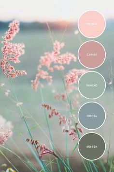 some pink flowers and green grass in front of the ocean with color swatches on them